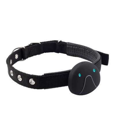 Cross-border 4GGPS Pet Locator WiFi Positioning Dog Cat Locator Smart Pet Tracker Anti-lost (GPS Locator) - black-4g