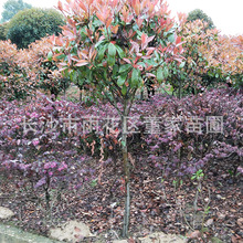 ����6-7���֪��U�t�~ʯ骘��� �ЗU�t�~ʯ骘� �r�񌍻�