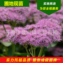 ���Ի��ع��� �ˌ��������߾�������� ������ؚ��޸���������