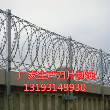 �S�����a��Ƭ���K�̽z�WУ������Ƭ���KС�^�e���������I��Ƭ�̾W