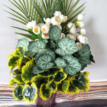 Sҹ F~ ֲ廨G~l ɢβ~