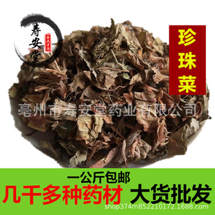 �������ș�����l����� Ұ��؛������ ͨ��� �����һ������]