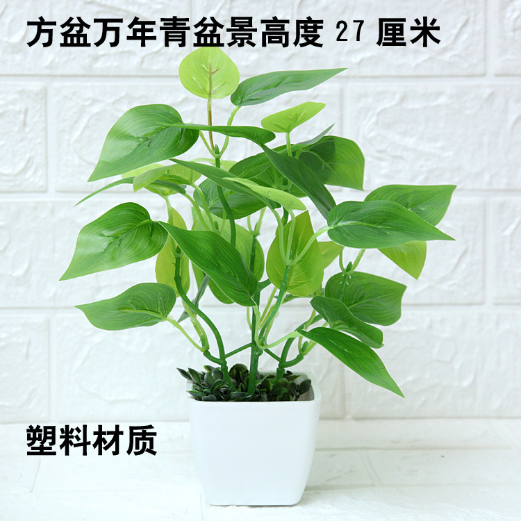 Planta artificial bonsai Mesa decoración mini decoración Planta artificial bonsai casa sala de estar interior planta verde Decoración