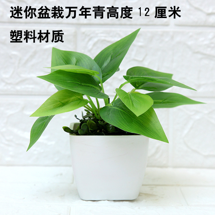 Planta artificial bonsai Mesa decoración mini decoración Planta artificial bonsai casa sala de estar interior planta verde Decoración