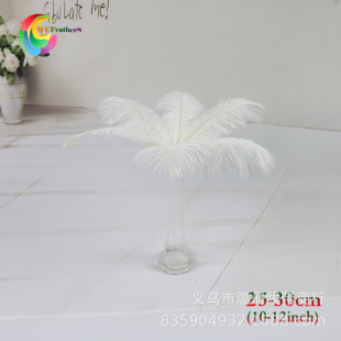 ���l��Ȼ��ɫ�r�Bë��ˇ��ë25-30cm��ɫ�r�B��ë��̨����