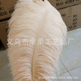 65-70cm��ɫ�r�Bë�b�c·�����b�o�϶Y�����y����ë��c�b�