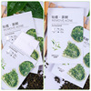 冰菊 Moisturizing face mask for skin care, anti-acne, oil sheen control, conceals acne, wholesale