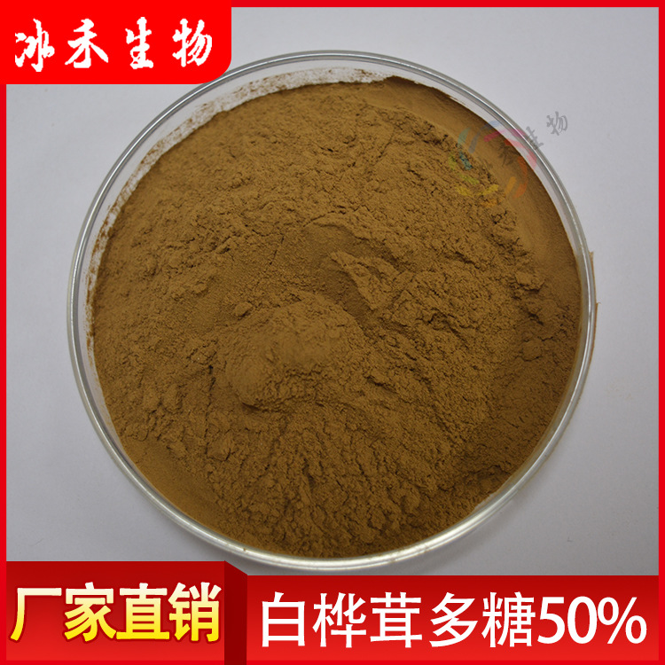 白桦茸多糖50%白桦茸子实体提取桦褐孔菌提取物冰禾供应量大从优