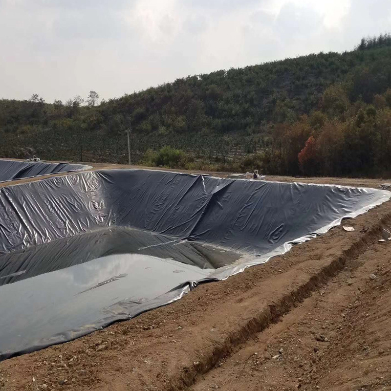 厂家供应防渗养殖土工膜虾池鱼塘HDPE膜8米宽环保土工膜