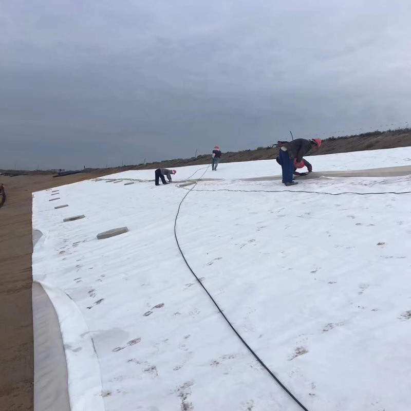 厂家供应灌溉蓄水池复合土工膜聚乙烯一布一膜防穿刺PE防渗膜