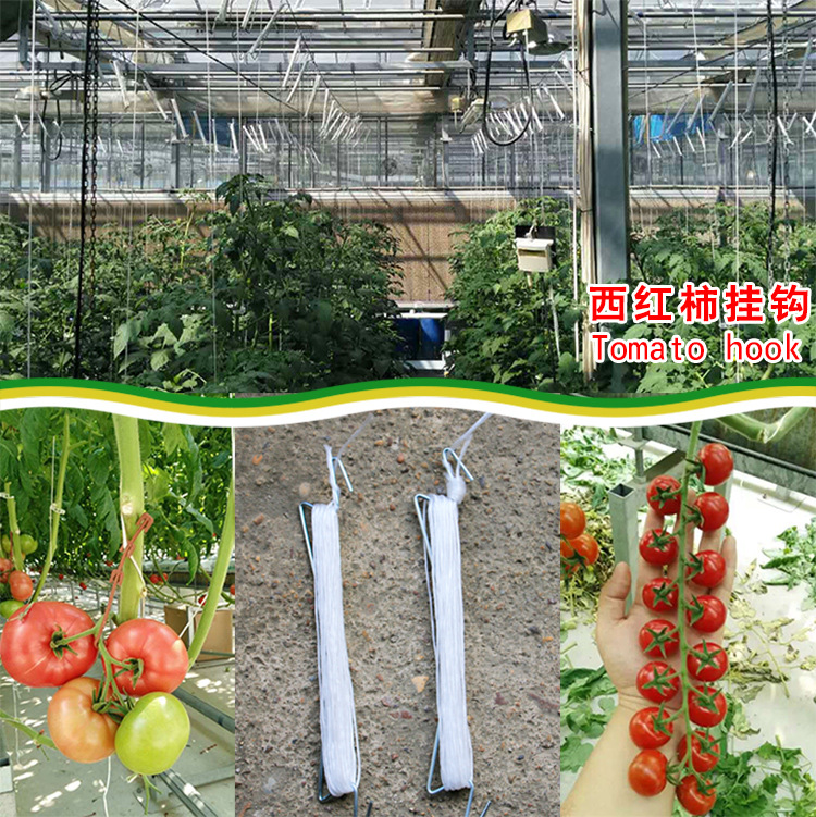 外贸货源 西红柿番茄挂钩植物生长牵引拉钩藤蔓蔬菜种植 园艺用品