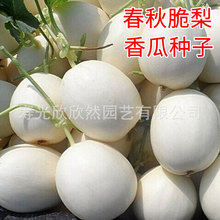 СϷNѷNļ߮a챡Ƥˮ߲ݴ