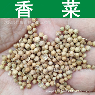 ��˷N�� ��ݴ ܾݴ�N�� �����Ĕz 1��=1��