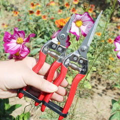 Garden gardening tools pruning shears stainless steel dipped in plastic red steel handle sparse flower and fruit scissors warped head fruit picking scissors