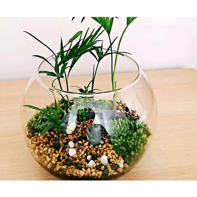 [上开口造型微景观玻璃鱼缸多肉苔藓植物培花器时尚摆件水族生态瓶]