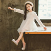 Autumn dress, children's skirt, small princess costume, Korean style, suitable for teen, long sleeve