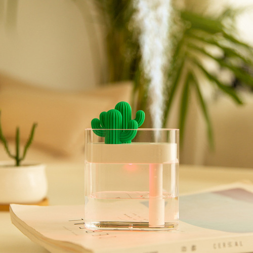Sanhuo Cross-border View 319 Transparent Cactus Mini USB Humidifier Night Light Office Desktop Creative Gift