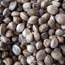 80��/����Ͼ�������ș�Ļ����ʾ��������� �W�^�Bʳ�������