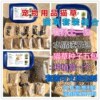 Wholesale handmade planting cat grass suits Cultivate soil planting soil -free planting cat grass, cat grass, cat snacks