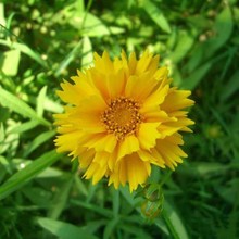 Sҹ|GuշN @ֹ̾^uֲﻨ