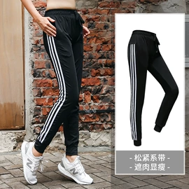 大码其他女式裤装;大码女上装;运动文胸