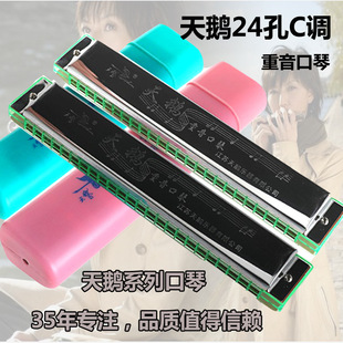 ���Z24���������C�{���پG�� �ۺ� �G�� ���˃�ͯ���W���T����