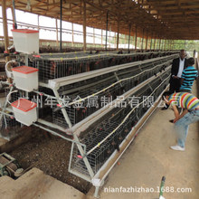 �������w���u�\��\�A���Bֳ�\���u�Bֳ�����u�\chicken cages