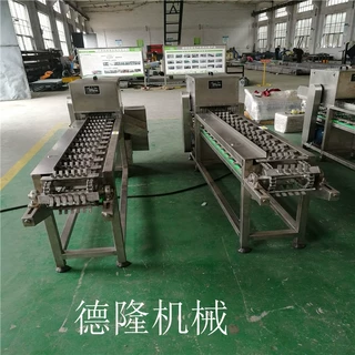 不锈钢玉米切段机速冻玉米切断设备玉米切头去尾机厂家直销