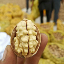 新货新疆185纸皮核桃阿克苏原味纸皮核桃5斤装坚果香脆新核桃