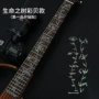 吉他护板木吉他