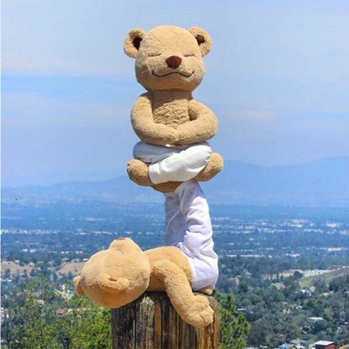 Cute ins yoga bear doll plush toy doll teddy bear creative variety of shapes brown jointed bear