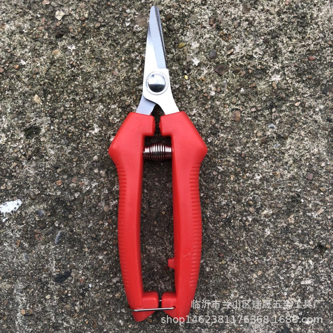 锯齿稀果剪 摘果剪 斜口翘头锯齿摘果剪 果树剪刀 园林农业采摘剪