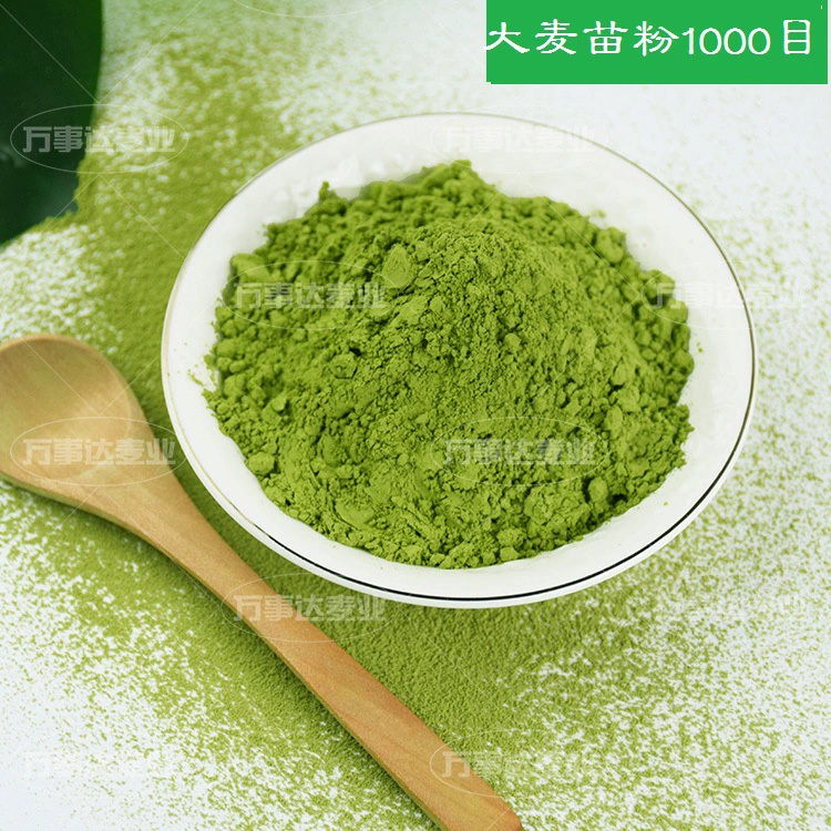 Порошок семян ячменя 1000 меш, водорастворимый, стерилизованный при высоких температурах, оптом от завода-производителя Master Brand с 28-летним опытом, для приготовления зеленого сока
