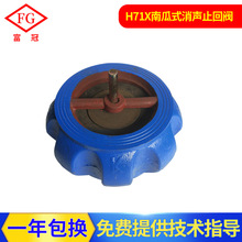 上海標冠彈簧式止回閥 H71X南瓜式消聲止回閥 水泵對夾式逆止閥
