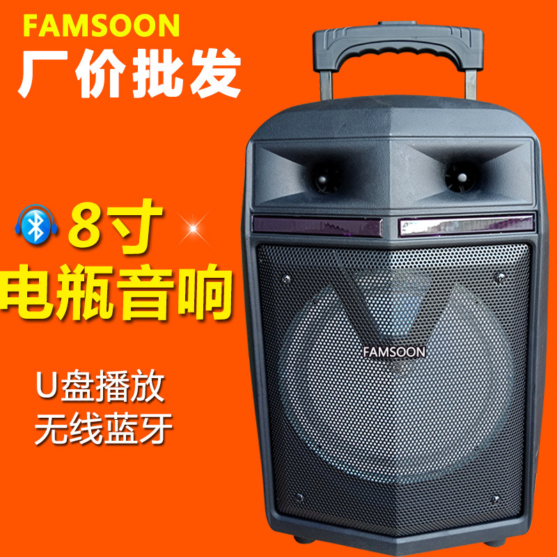 Fanxun Outdoor 8-inch High Power Square Dance Audio Mobile Portable Bluetooth Charging Rod Speaker