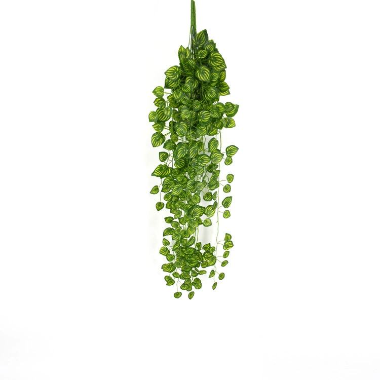 Симулированный замиак Chlorophytum настенное украшение, искусственный ротанговый вечнозелёныйBegonia зелёное растение настенное украшение Путос