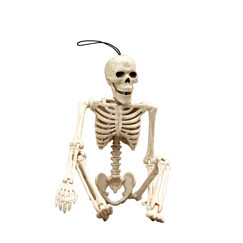 Halloween terror apoyos esqueleto humano casa embrujada Cámara horror cadáver esqueleto plástico