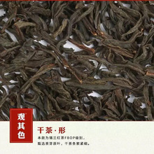 �a�m�t��OP�l�β���߮a������t���̲������ԭ��COCO¹����