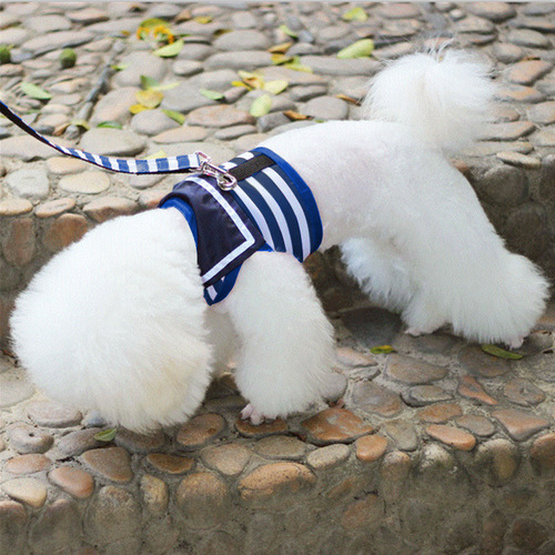 Pet supplies dog harness, leash, dog chain, Teddy small dog walking rope, VIP harness set