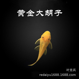 �Ꭷ�^�p�~���l�S������24k���ӳ����~�����������w����