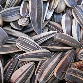 豆类;高粱类;鸟食