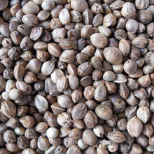 �Bʳ�������B�ϻ������� 80��/�����w�����ϻ����� ���ʾ�����