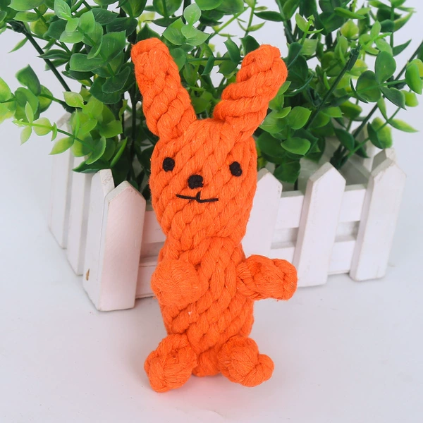 Orange rabbit