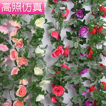 õ���ٗl���滨�������҃�ů��ڒ���{�ܵ��b��������