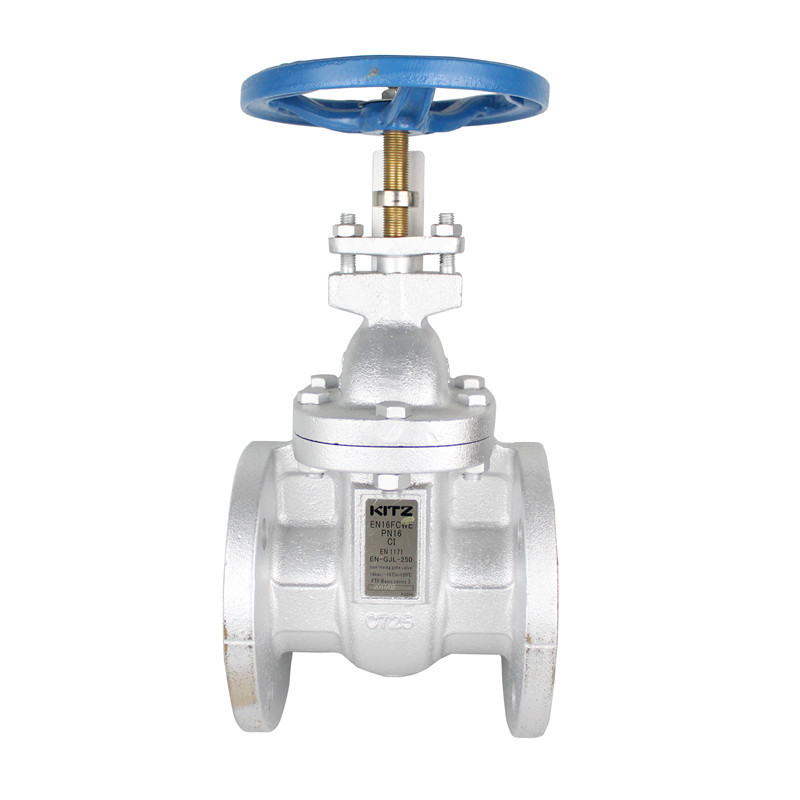 ձKITZբ 16FCWZ ֶطԭװDN100 DN200