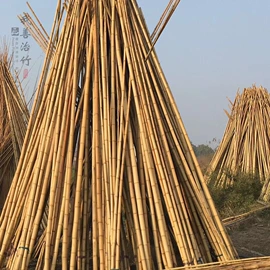 茶叶包装;竹质工艺品;其他杯子