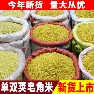 ��������� �p�v ������ ���v늿����w��ѩɏ�����l