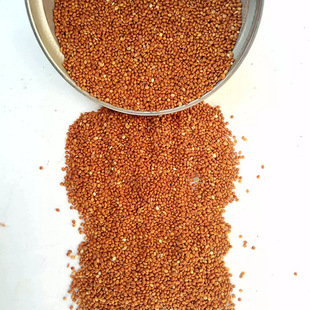 �t���S��������t����100�ﾀ�������^����W�^�����B�Z����