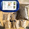 Wholesale handmade planting cat grass suits Cultivate soil planting soil -free planting cat grass, cat grass, cat snacks