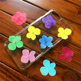 植物工艺品;工艺原料;干花